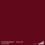ספריי צבע מט אדום בורדו MTN RV- 3004  RED BORDEAUX
