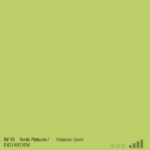 ספריי צבע מט ירוק פיסטוק MTN RV- 16 PISTACHIO GREEN