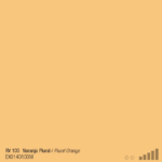 ספריי צבע מט כתום בהיר MTN RV-103 PLURAL ORANGE