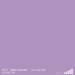 ספריי צבע מט סגול MTN RV- 171  COM VIOLET