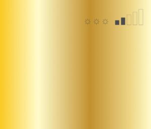 ספריי צבע מט זהב MTN FRAME GOLD