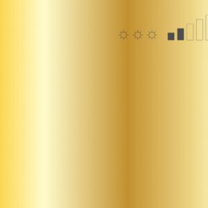 ספריי צבע מט זהב MTN FRAME GOLD