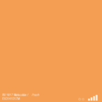 ספריי צבע מט משמש MTN RV-1017 PEACH