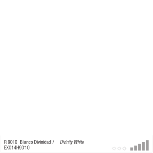ספריי צבע מבריק לבן RV9010 - White
