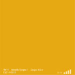 ספריי צבע מבריק צהוב גנגס RV11 GANGES YELLOW