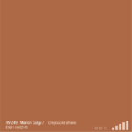 ספריי צבע מבריק חום כלב RV249  GREYHOUND BROWN