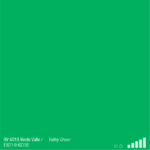 ספריי צבע מבריק ירוק גאי RV6018 VALLEY GREEN