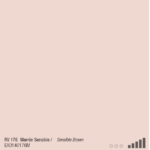 ספריי צבע מט חום סנסיבל MTN RV-176 SENSIBLE BROWN