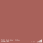 ספריי צבע מט חום אוק MTN RV-203 OAK BROWN