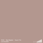 ספריי צבע מט ורוד רספקט MTN RV-64 RESPECT PINK