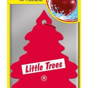 עץ ריח דובדבן Wild Cherry Little Tree
