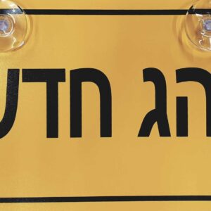 שלט נהג חדש