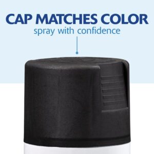ספריי צבע שחור מט RUST-OLEUM 334020 2X
