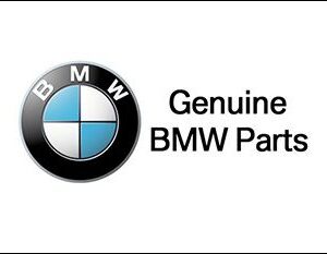 פילטר שמן אופנוע BMW G310GS מקורי